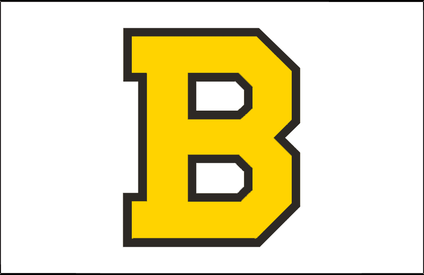 Boston Bruins 1940-1948 Jersey Logo DIY iron on transfer (heat transfer)